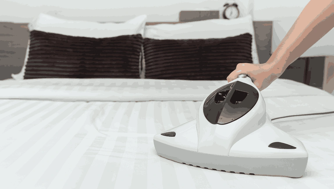 Professional Mattress Cleaning Kalkallo